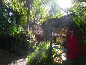 Hütten in Alis Surfcamp Cabarete