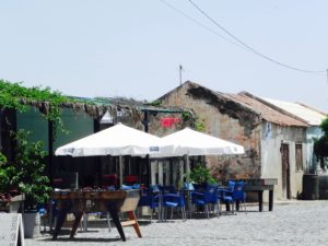 Palmeira Sal Kapverden