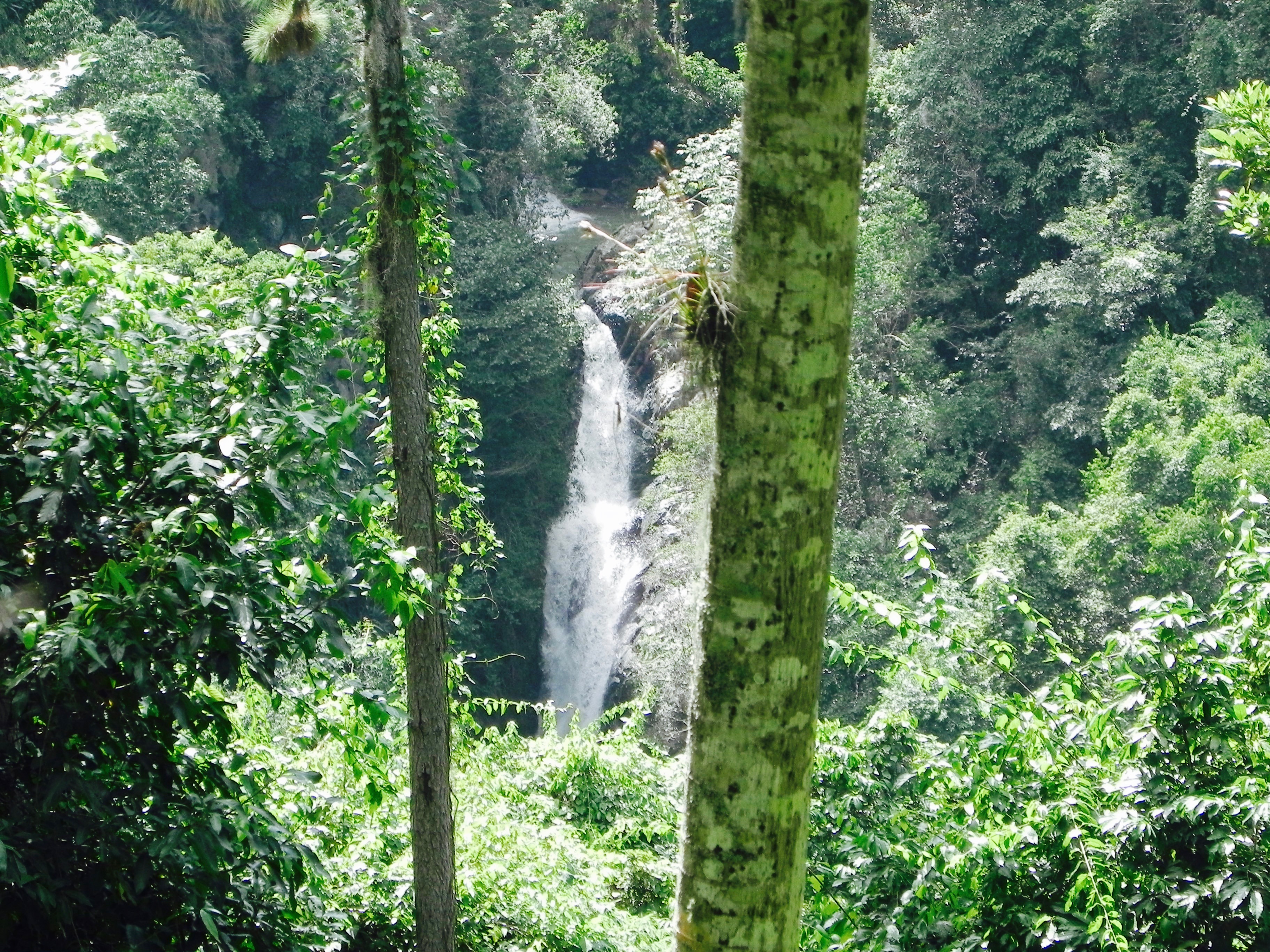 Wasserfall Jarabaco