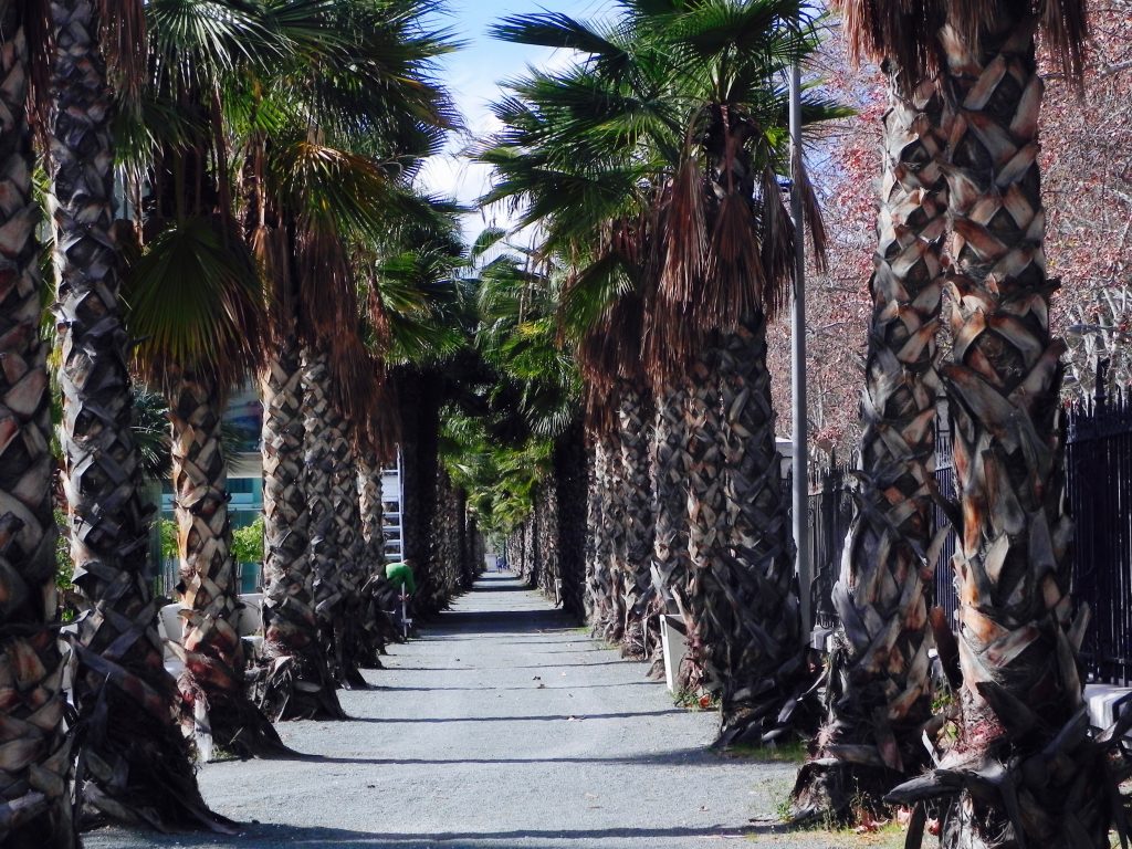 Hafen Malaga