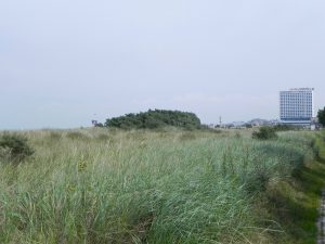 Warnmünde Ostsee Urlaubstipis Dünen
