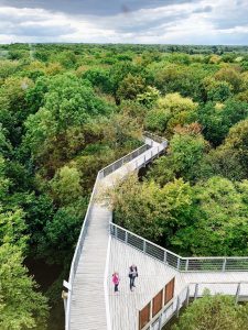 Nationalpark Hainich Baumkronenpfad