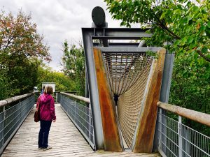 Nationalpark Hainich Baumkronenpfad