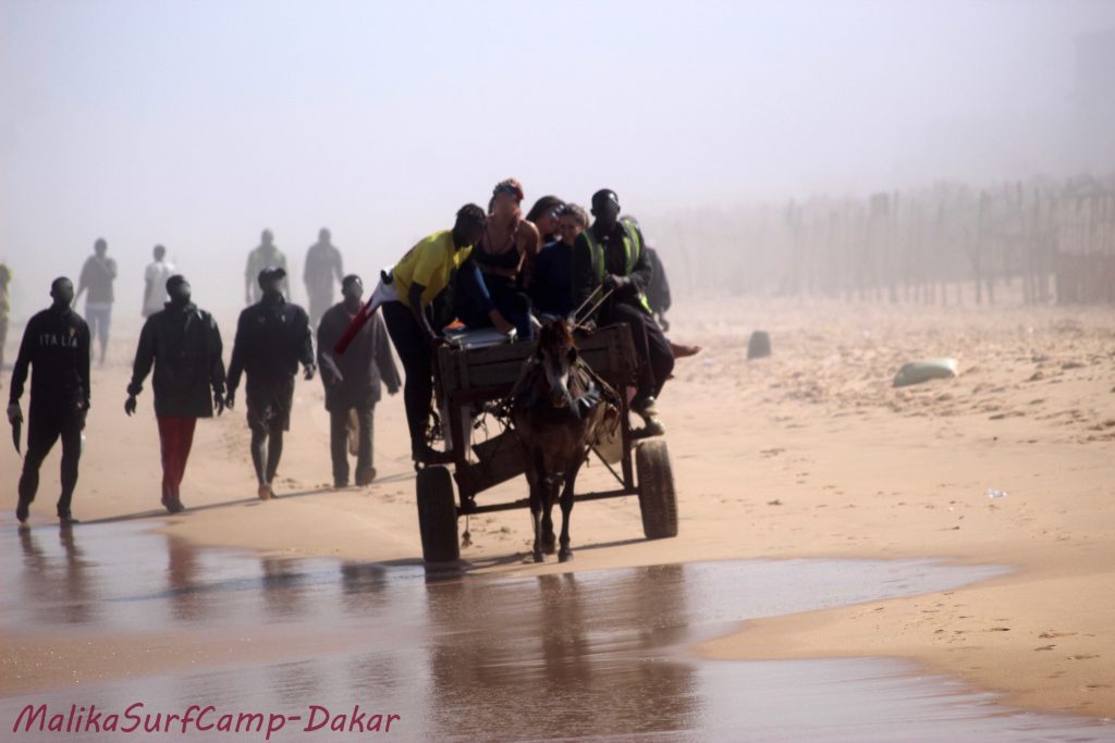 Surfen Dakar Senegal Pferdekutsche