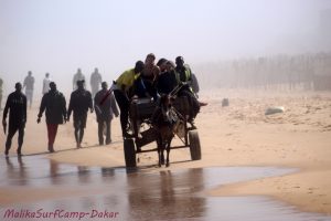 Surfen Senegal Pferdekutsche