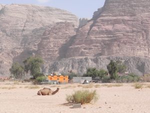 Wadi Rum Jordanien