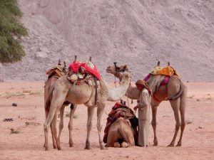 Wadi Rum Jordanien Reisetipp