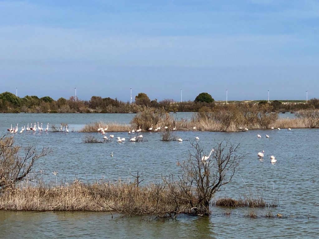 Saline di Priolo Syrakus