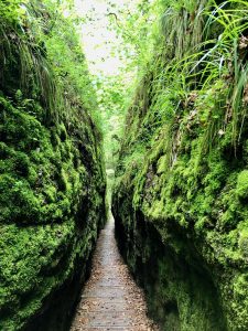 Drachenschlucht Eisenach Ausflugstipp