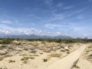 Strandtipp Viareggio schönster Strand